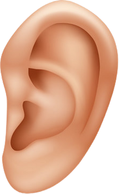 Ear